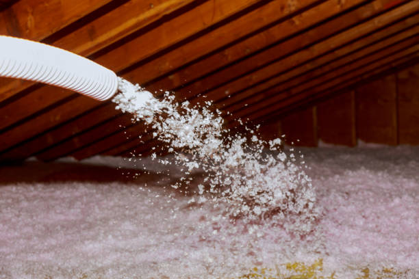 Best Soundproof Insulation Installation  in Kirkwood, MO