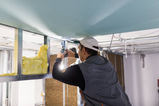 Best Insulation Contractors for Homes  in Kirkwood, MO