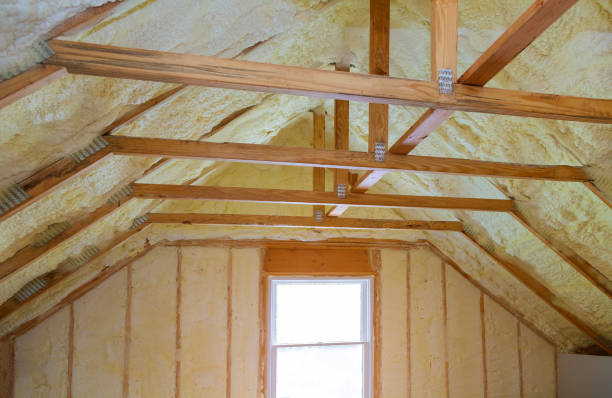 Best Garage Insulation Installation  in Kirkwood, MO