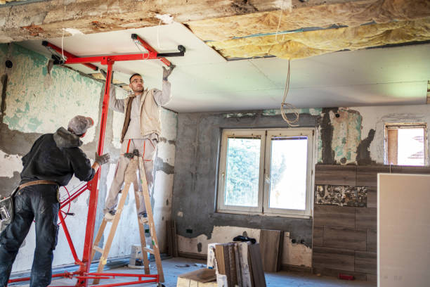Best Energy-efficient Insulation  in Kirkwood, MO