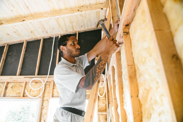 Best Attic Insulation Installation  in Kirkwood, MO