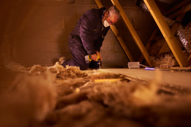 Best Home Insulation Services  in Kirkwood, MO