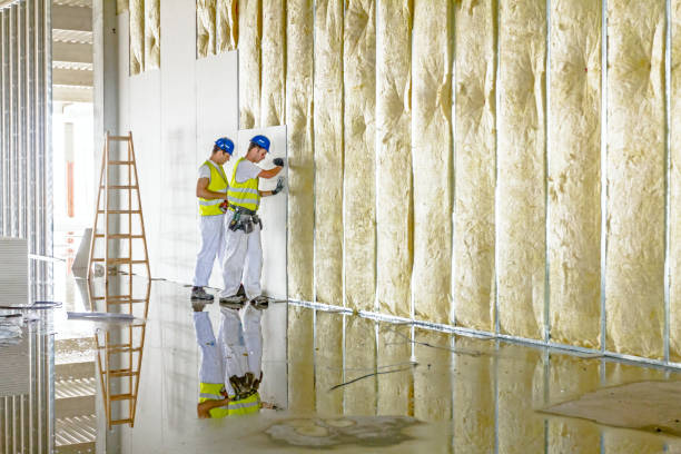 Best Attic Insulation Installation  in Kirkwood, MO